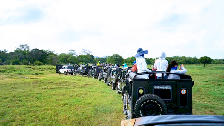 ���Ρ�(�й���)�����ٷ���վ-YY SPORTS