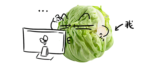 ���Ρ�(�й���)�����ٷ���վ-YY SPORTS