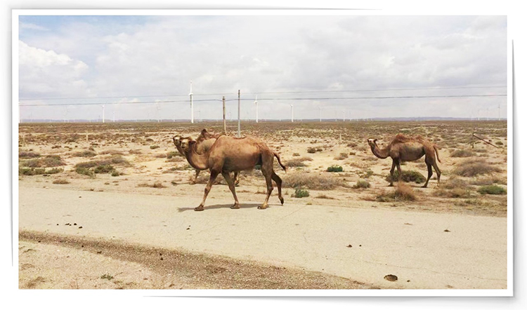 ���Ρ�(�й���)�����ٷ���վ-YY SPORTS