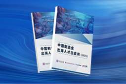 �����³̣����й�����ҵ�����˲Ű�Ƥ�飨2025�����ذ�����