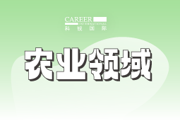 ũҵ | 2025�˲��г����켰н��ָ��