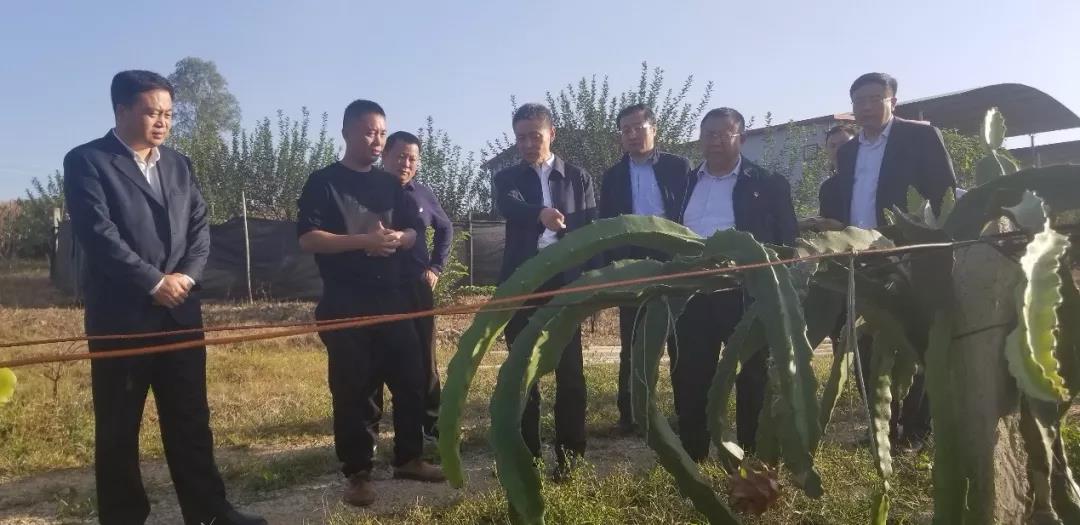 首页 - 菲律宾亚星国际官方网站